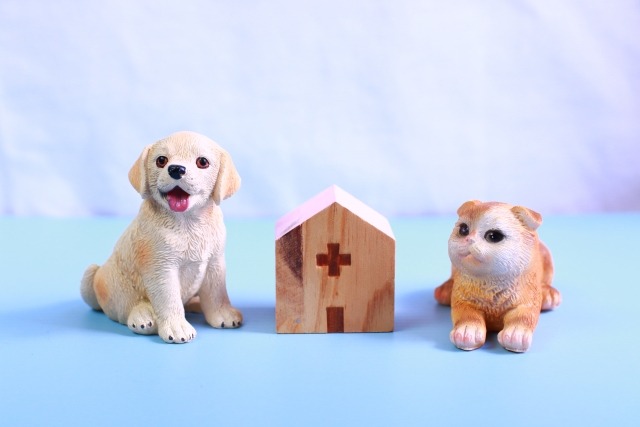 犬と猫と動物病院の模型