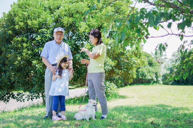 家族で犬の散歩をする様子