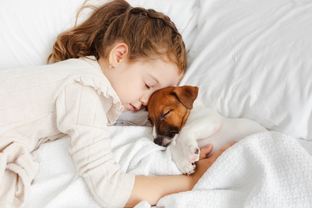 子犬と寝ている子供