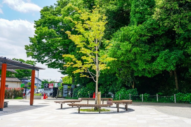 県立東高根森林公園